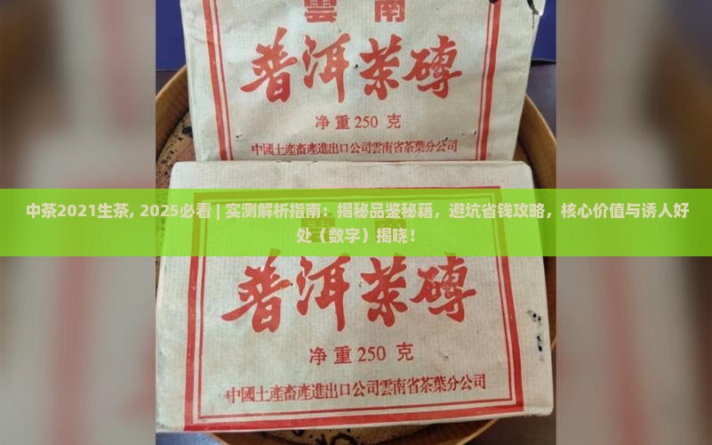 中茶2021生茶