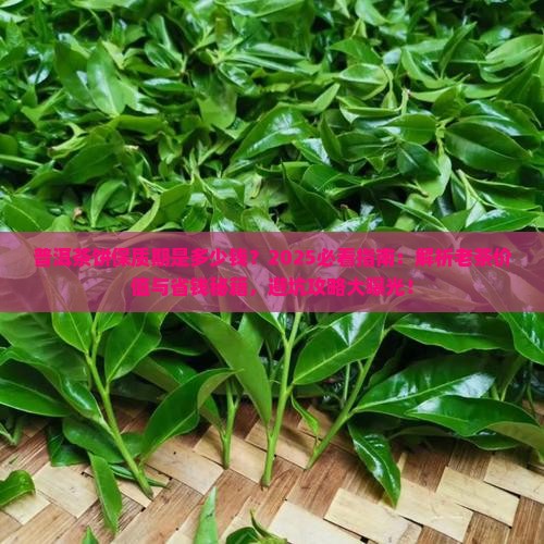 普洱茶饼保质期是多少钱
