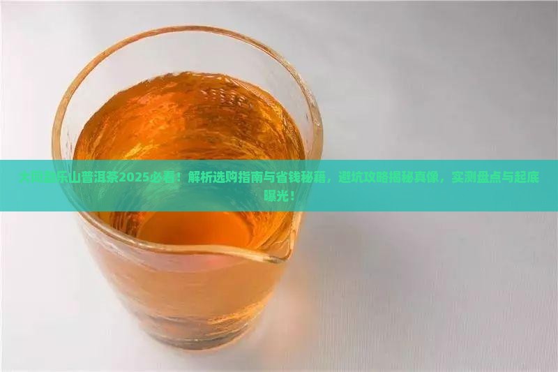 大同勐乐山普洱茶