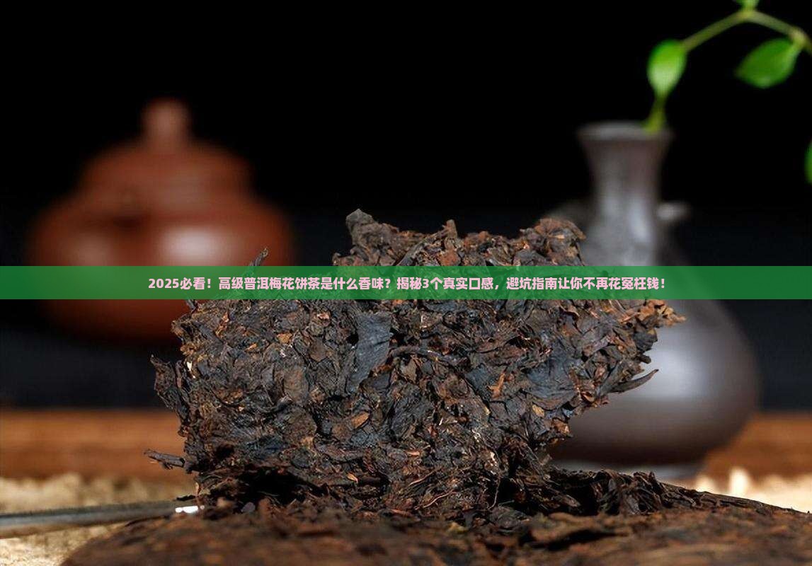 高级普洱梅花饼茶是什么茶香味