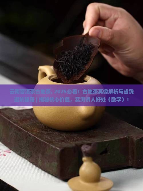 云南普洱茶台地茶