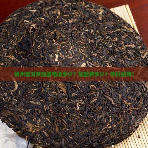 扬州普洱茶加盟