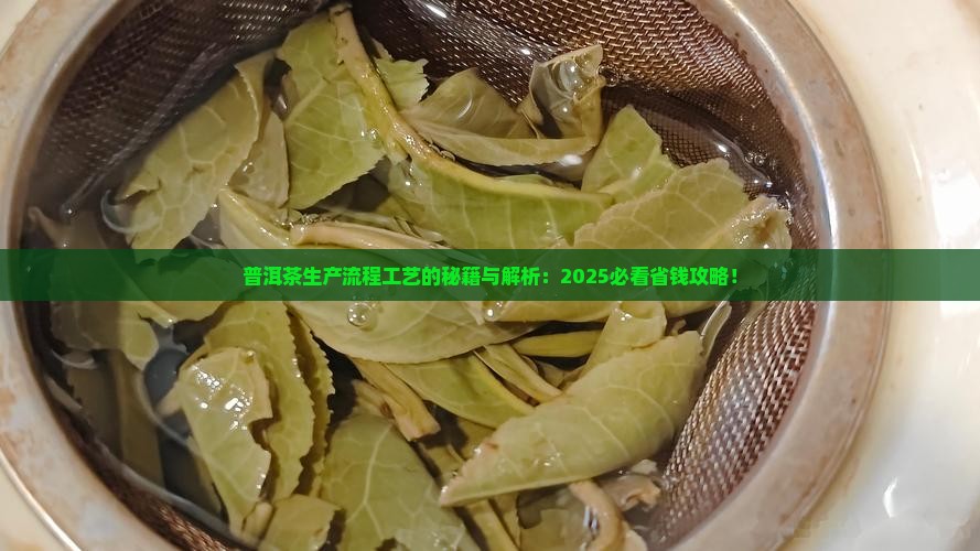 普洱茶生产流程工艺