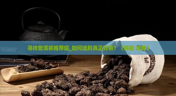 寻找普洱茶推荐信