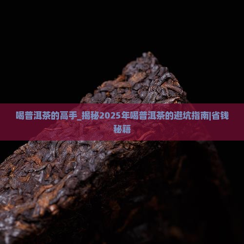 喝普洱茶的高手