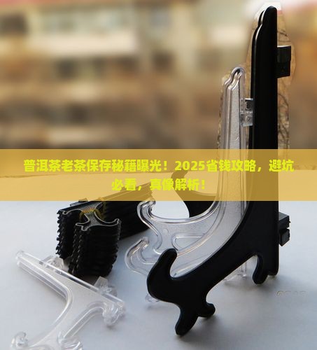 普洱茶老茶保存
