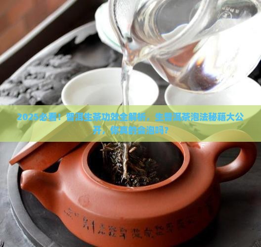 普洱生茶功效生普洱茶怎么泡
