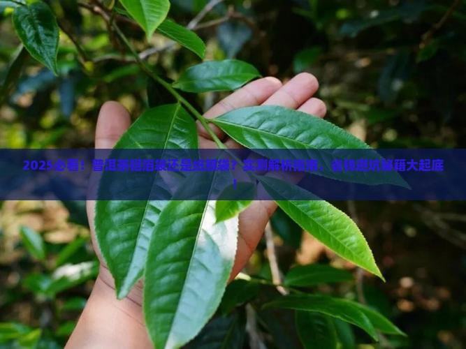普洱茶铝箔袋还是纸膜袋