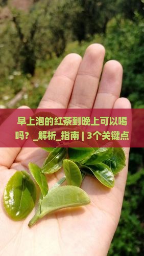 早上泡的红茶到晚上可以喝吗