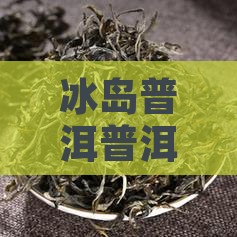 龙牙冰岛普洱茶好吗