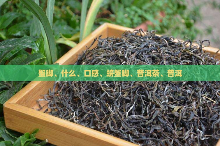 蟹脚茶什么口感好