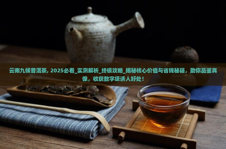 云南九候普洱茶
