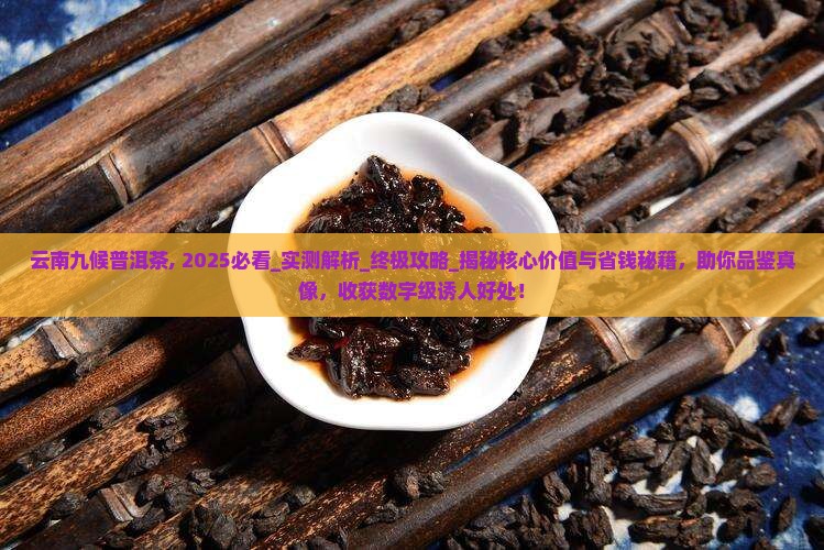 云南九候普洱茶