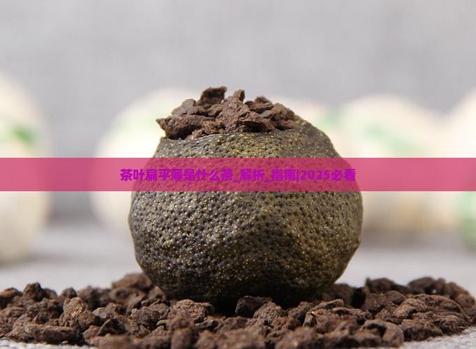 茶叶扁平薄是什么茶