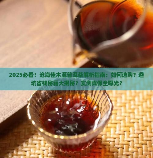 沧海佳木源普洱茶