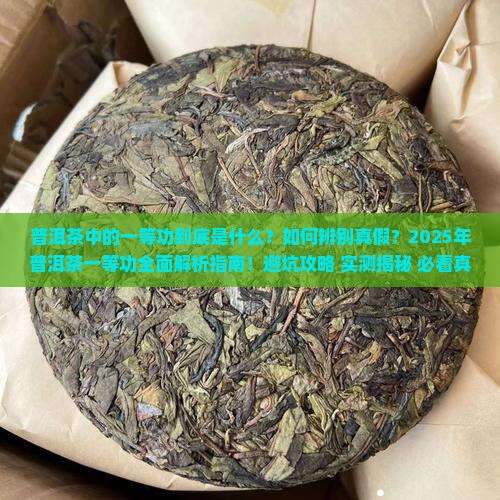 普洱茶中的一等功