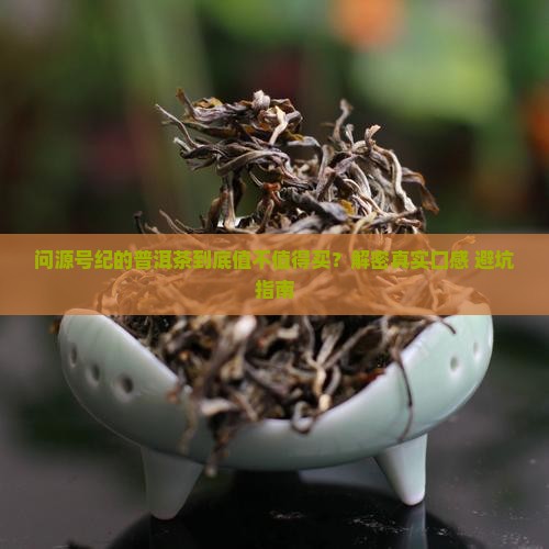 问源号纪的普洱茶怎么样
