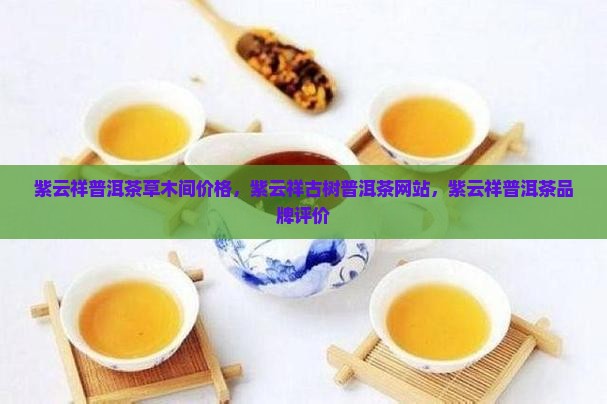 紫云祥普洱茶草木间价格