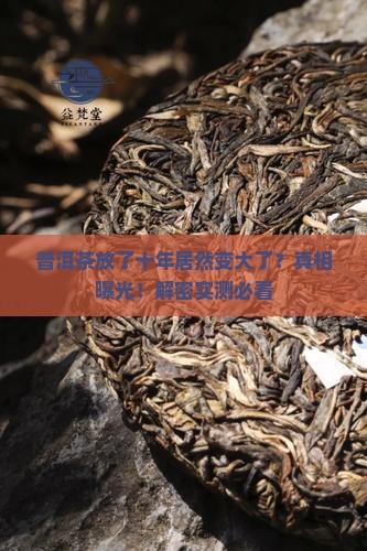 普洱茶存放十年后变大了