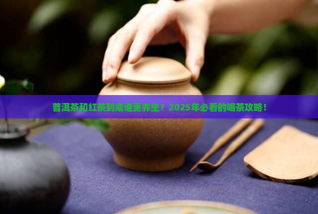 普洱茶与红茶有什么功效