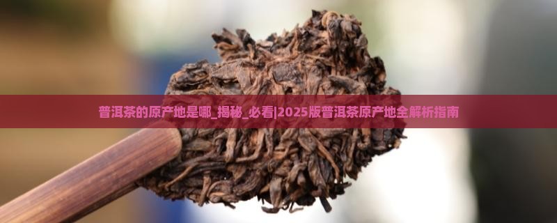 普洱茶的原产地是哪