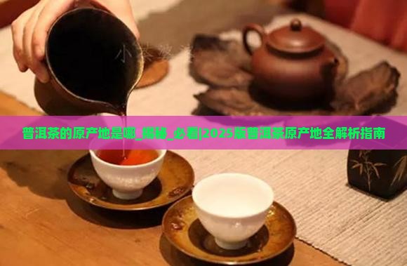 普洱茶的原产地是哪