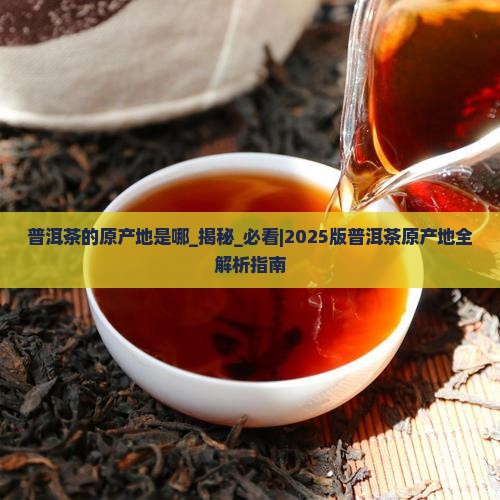 普洱茶的原产地是哪