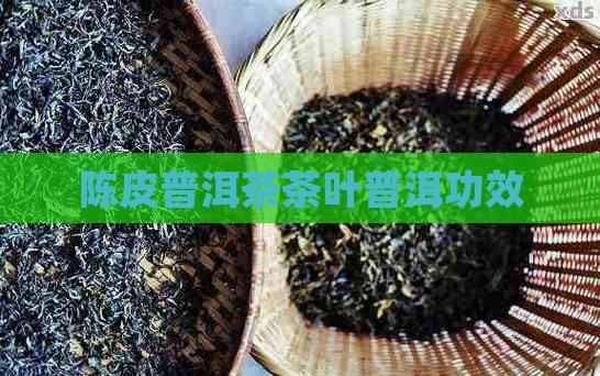 茶滋味陈皮普洱茶