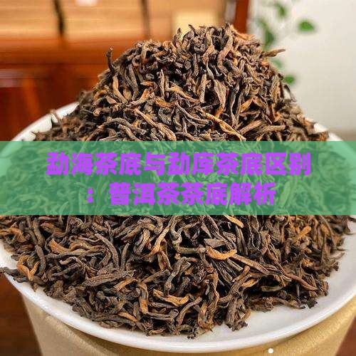 勐库茶底和勐海茶底区别