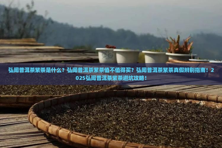 弘闻普洱茶紫茶
