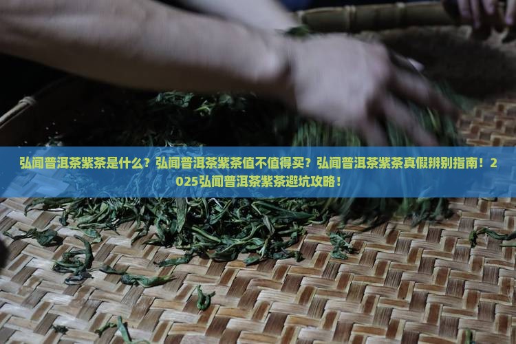 弘闻普洱茶紫茶