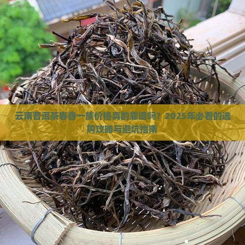 云南普洱茶春香一族价格