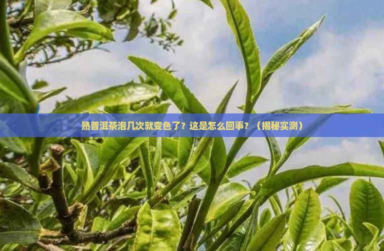 熟普洱茶泡几次变色了怎么办