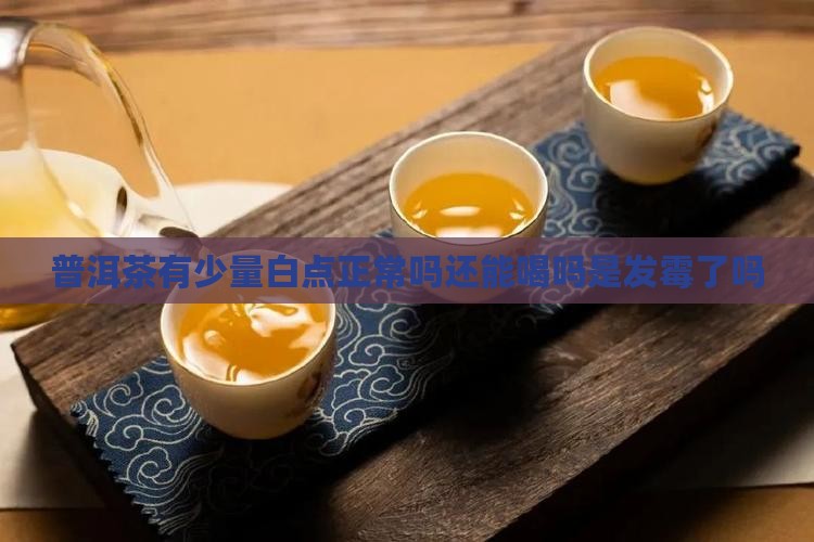 普洱茶有少量白点