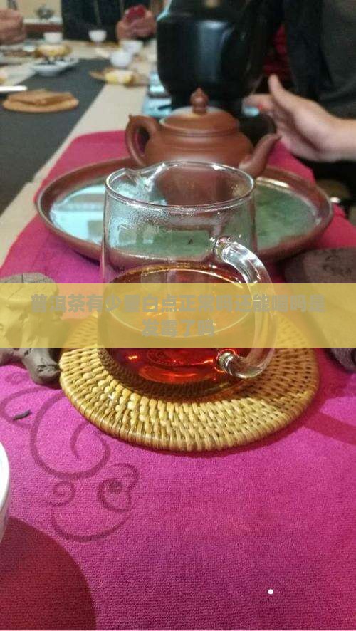 普洱茶有少量白点