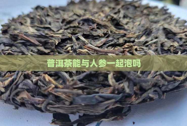 普洱茶能与人参一起泡吗
