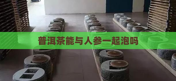 普洱茶能与人参一起泡吗
