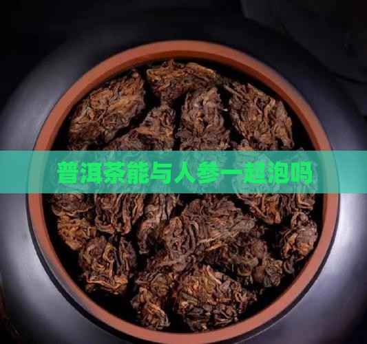 普洱茶能与人参一起泡吗