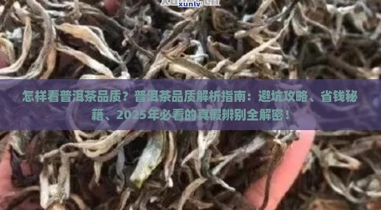 怎样看普洱茶品质