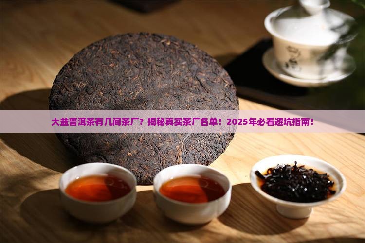 大益普洱茶有几间茶厂