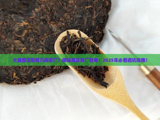 大益普洱茶有几间茶厂
