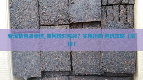 普洱茶包装素描