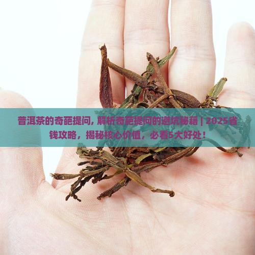 普洱茶的奇葩提问
