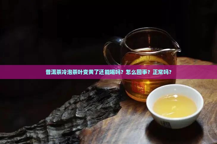 普洱茶冷泡茶叶变黄了 普洱茶冷泡茶叶变黄了