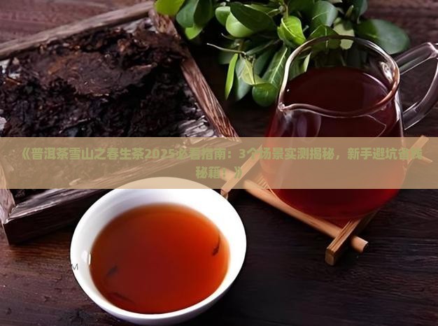 普洱茶雪山之春生茶