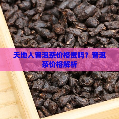 天地人普洱茶价格贵吗