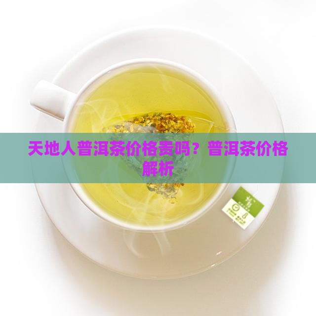 天地人普洱茶价格贵吗
