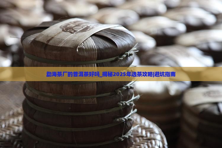 勐海茶厂的普洱茶好吗 勐海茶厂的普洱茶好吗