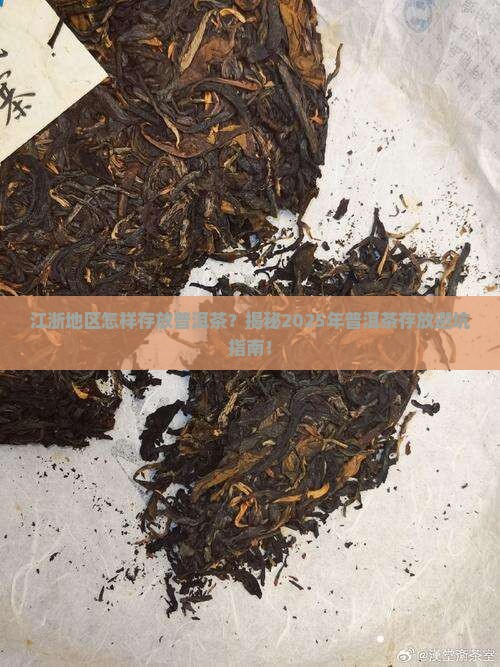 江浙地区怎样存放普洱茶