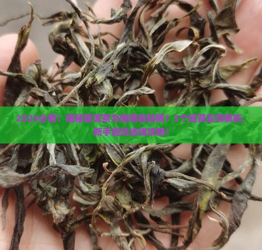 普洱茶的粘稠度跟什么原因